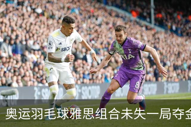 奥运羽毛球雅思组合未失一局夺金 成就混双大满贯