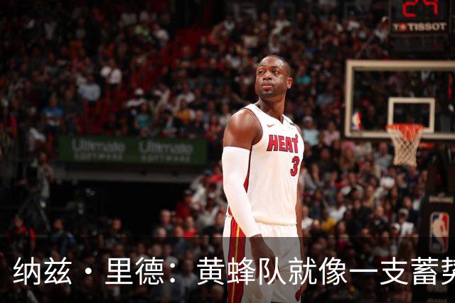 纳兹·里德：黄蜂队就像一支蓄势待发的乐队！