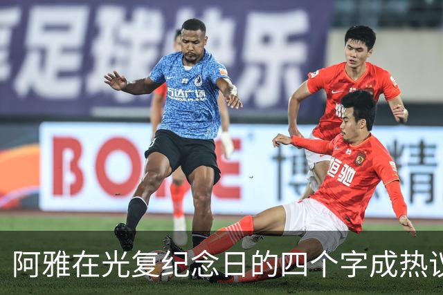 阿雅在光复纪念日的四个字成热议焦点