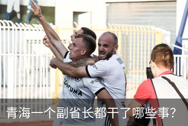 青海一个副省长都干了哪些事？